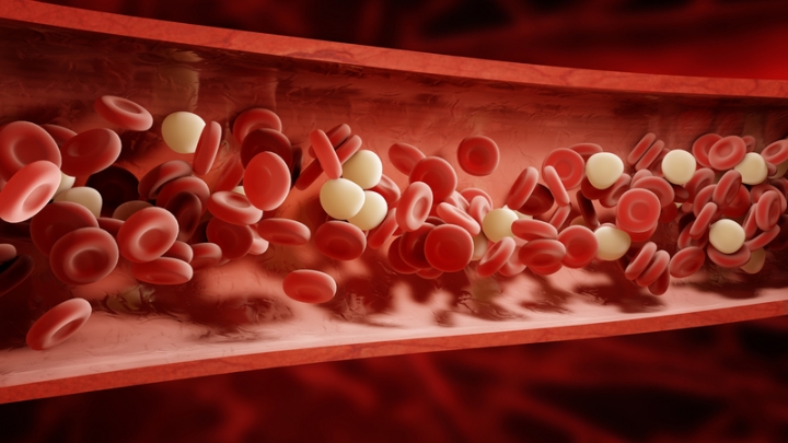 newer blood thinners tied to lower bleeding risk