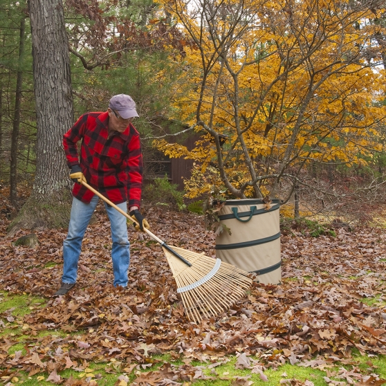 gloves for raking leaves